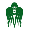 Jungle Software - Gorilla